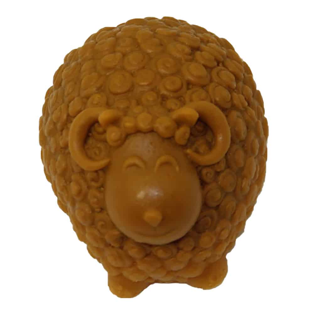 Curly Sheep Aa001