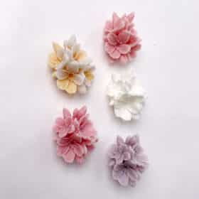 รูปขนาดย่อ